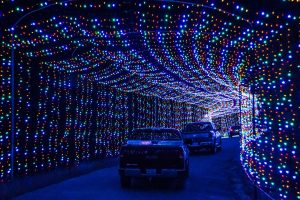 Holiday lights at BLORA in Belton, TX