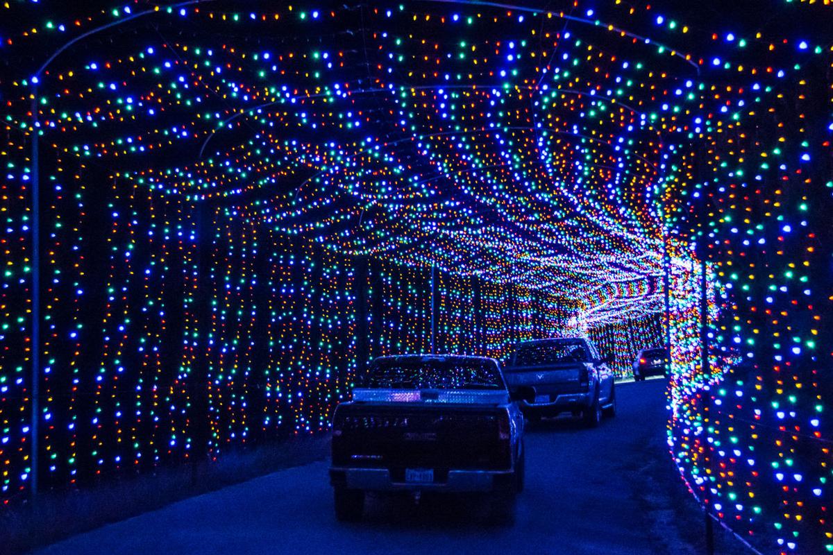 BLORA Nature in Lights - #KDHEvents | Events in the Greater Killeen Area
